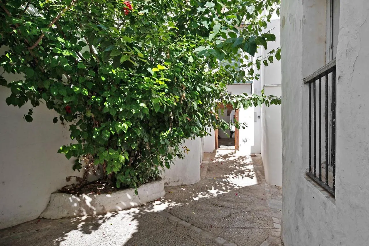 Pura Vida Vejer Apartment Vejer de la Frontera Spain